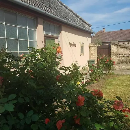 Etno House Leja