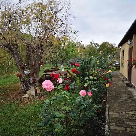 Etno House Leja Holiday home Crvenka