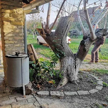 Holiday home Etno House Leja *